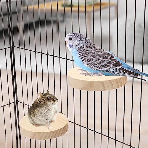 Image of 2 Pieces Bird Perch Platform Wooden Stand Toy for Small Bird Parrot Parakeet Cockatiel Budgie Lovebirds Conures Finches Rat Cage Accessories (Circular)