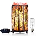 Himalayan Pink Salt Lamp, Natural Salt Rock Lamp with Retro Forest Basket and Dimmer Switch, Romantic Night Light Plug in, Decor Desk Lamp