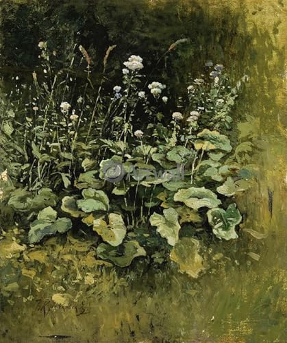Tableaux herbe sauvage Iosif Evstafevich Krachkovsky pour habiller un grand mur vide de salon