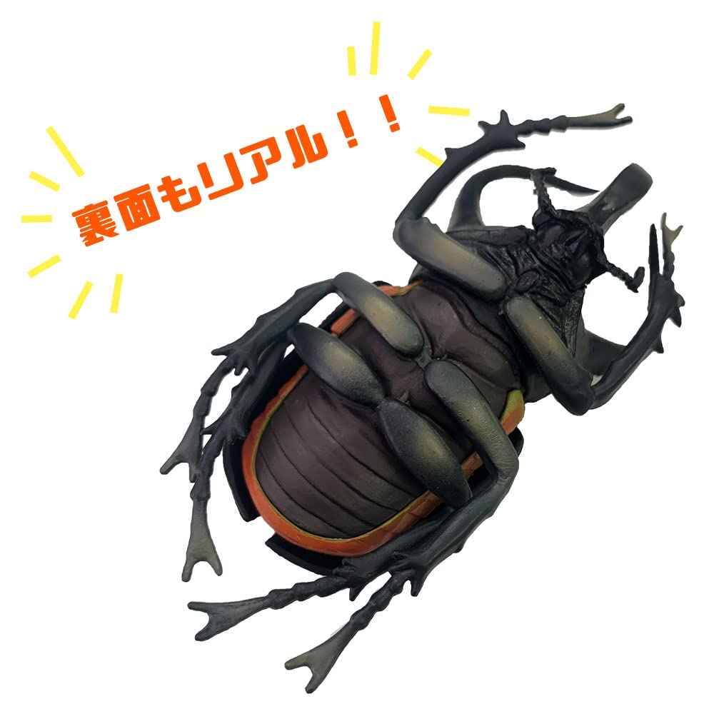 クワガタのフィギュアです大きさは、5cm位です Amazon.co.jp: ザ・アクセス フィギュア クワガタ 立体図鑑 動物