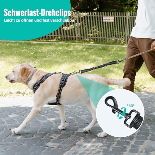 2 stück Verwicklungsfreie Elastische Hundeleine, Keine Verwickelte Doppelte Hundeleine Hundetrainingsleine Reflektierende Elastische Leine Schwarz