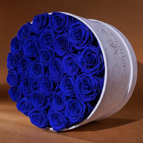 27 Flowers in a Luxury Suede Box, Birthday Gifts for Women, Preserved Flowers, Mothers Day Roses Gift for Mom, Royal Blue