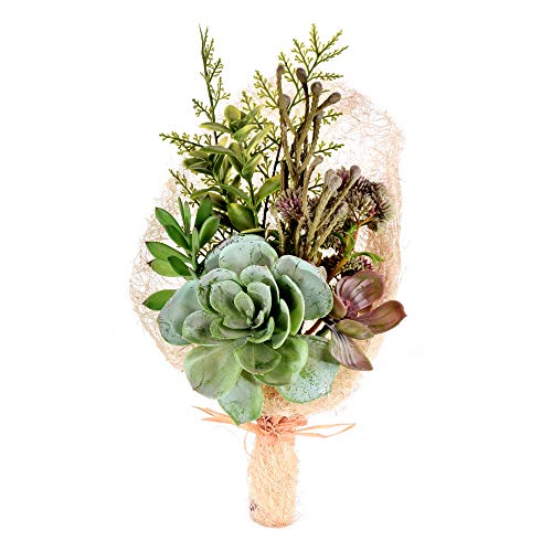 Vickerman Everyday 15