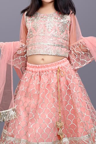 Image of Girl's Princess Lehenga Choli Set - Soft Net, Ribbon Embroidery With Duppata, Readymade