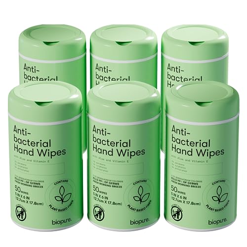 Image of Biopure Antibacterial Hand Wipes Fresh Morning Breeze- Antibacterial Wipes with Aloe and Vitamin E Formula | 5"x7" Wet Wipes Canister | No Parabens, Sulfates or Phthalates, Kills 99% of Germs, 300 ct
