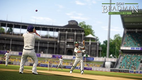 Image of Don Bradman Cricket (PS4)