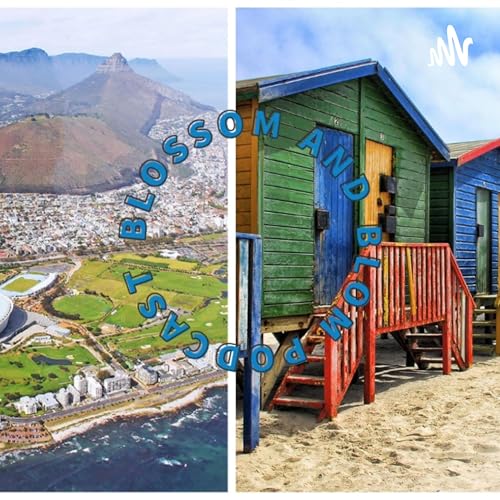 Ntaba Ezikude by Msay Wedding Films, Does Mars Hate Nota Baloyi? Did Seemah Leave Because of Yanda Woods? Southern Soul by Skroef 28 nd MDU aka TRP, Doja Cat in South Africa, Tyla's Impact, Liema