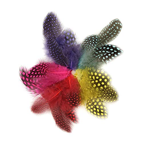 Zucker - Loose Guinea Plumage Mix Dyed - Day Glo Mix #TOP4
