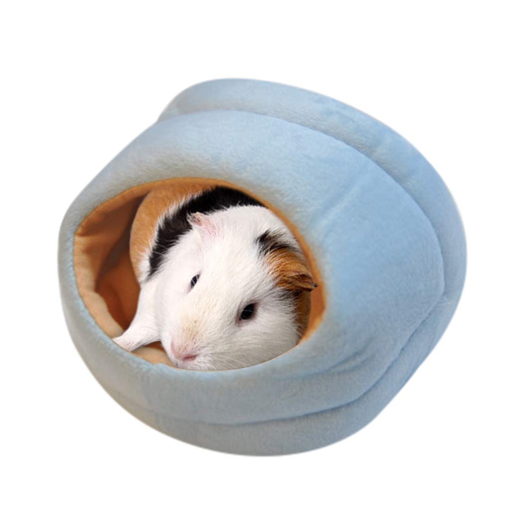 small hamster bed