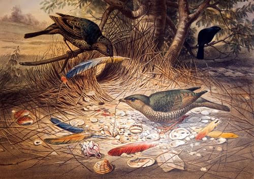 Tableau peinture sur toile oiseau d'arc en satin 60x90cm decoration de chambre