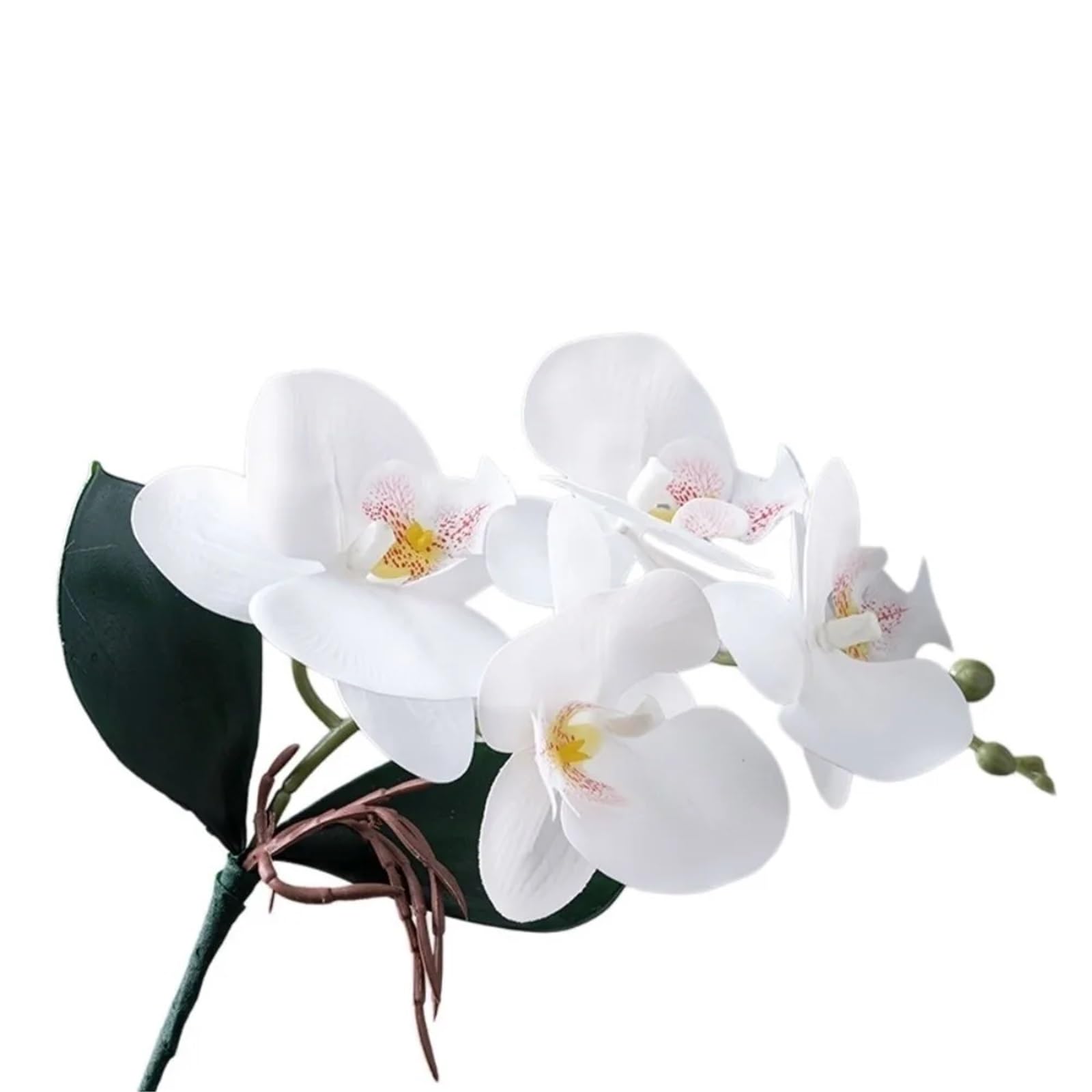 LSYHHXC Artificial Orchid Vivid Artificial Moth Orchids Cloth Realistic Simulation Phalaenopsis Plants With Leaves Fake Butterfly Orchid