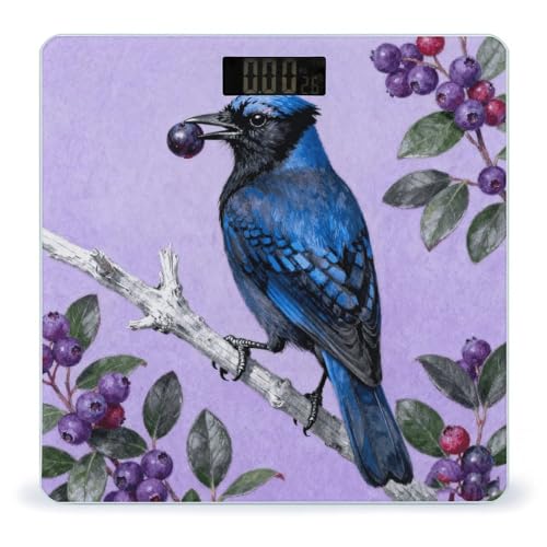 Báscula Digital para Peso Corporal Blue Jay con Arándanos miniatura 1