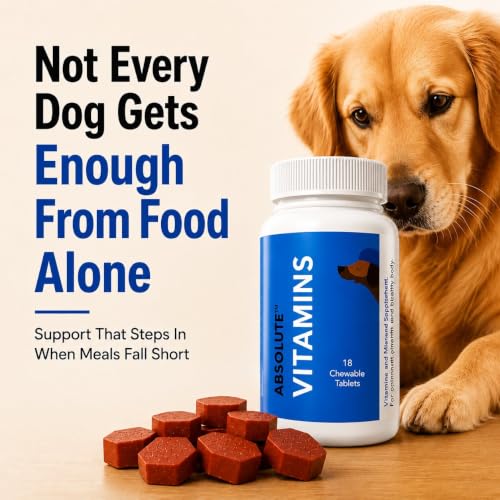 Image of Drools Absolute Dog Supplement Tablets 175g (50 Pieces) Jar | Chicken Flavour | Supports Growth | Maintains Healthy Body Condition | Aids Faster Recovery