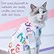Haustier-Sommer-Shirts für Hunde, Welpen, Netzstoff, Elastizität, Tank Top, Kühlkleidung für kleine, mittelgroße und große Hunde und Katzen (klein)