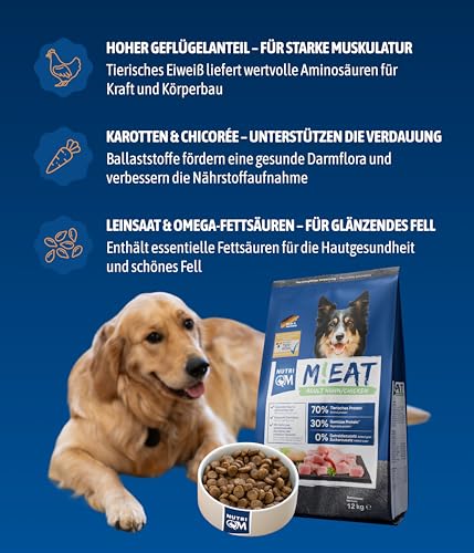 NutriQM® M!EAT Hundefutter Trocken Adult | 12 kg getreidefreies Trockenfutter für Hunde | 70 % Fleischanteil aus Geflügel & Rind | Ohne Zuckerzusatz & Zusatzstoffe | Tierwohl-Siegel | Made in Germany