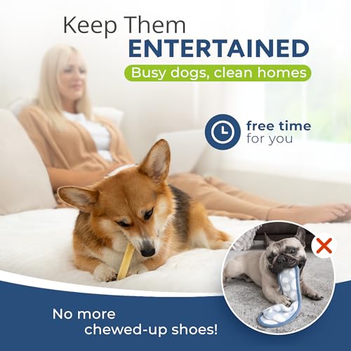 CHEWSTER Käsestangen für Hunde - Kaukäse Hundeknochen - Langer Kauspaß aus natürlicher Milch - Käse-Kauknochen (136 g, S, 4er Pack)