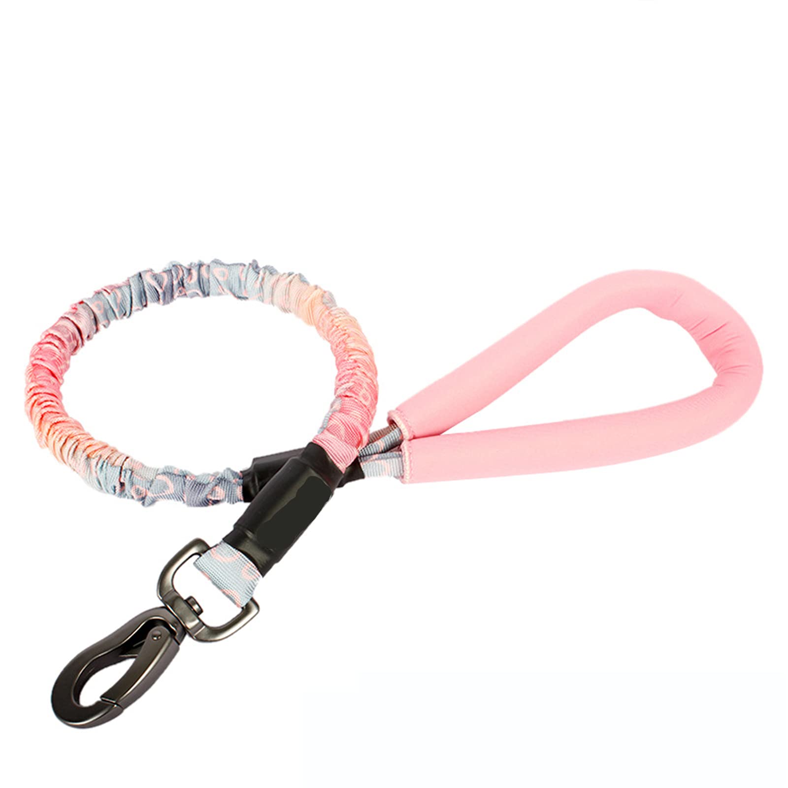 Fournitures pour animaux de compagnie : laisse de chien forte anti-traction