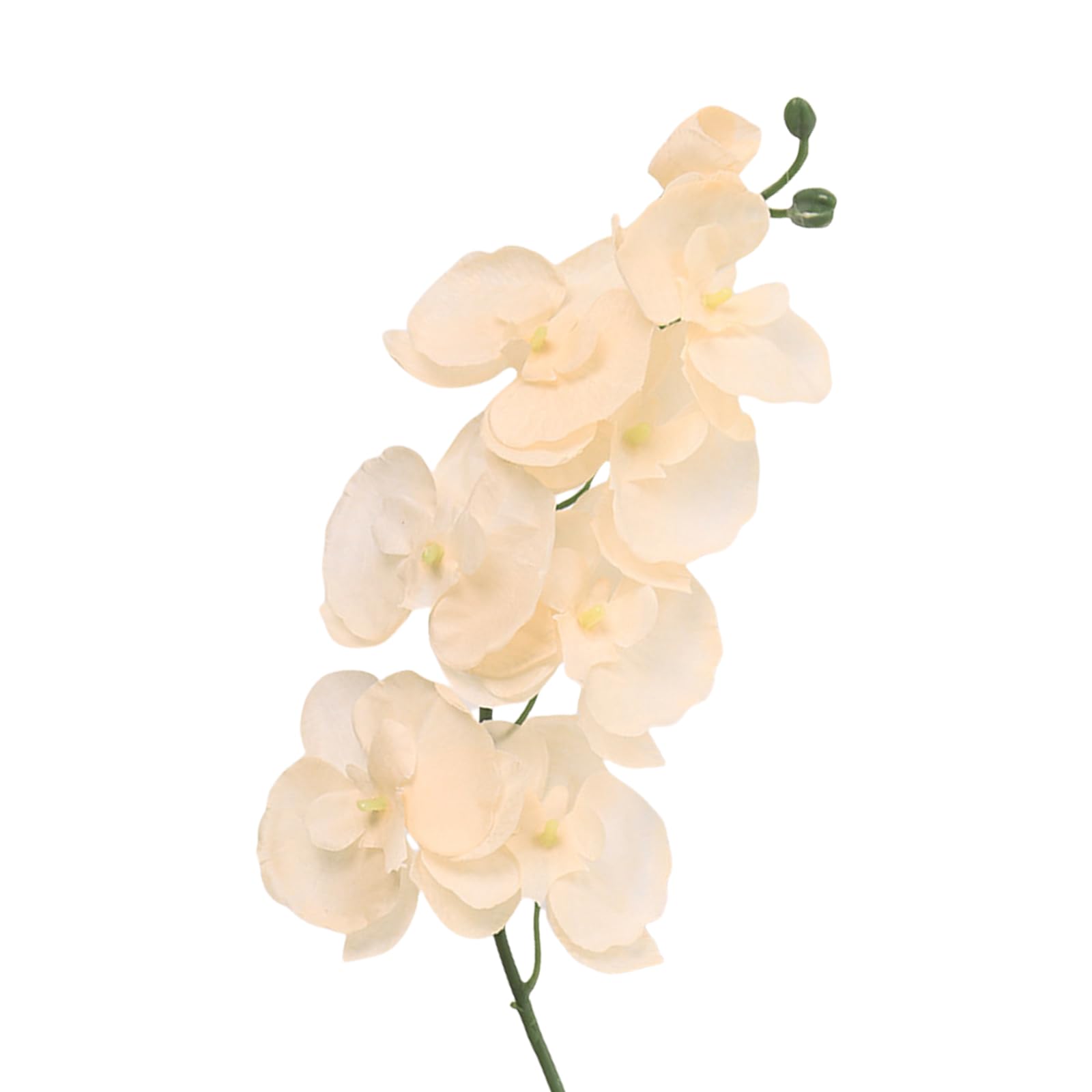 Realistic 3D Artificial Butterfly Orchid Branches, Vibrant Colors Artificial Silk Phalaenopsis Orchid Flower for Bridal Bouquet or Permanent Table Arrangement