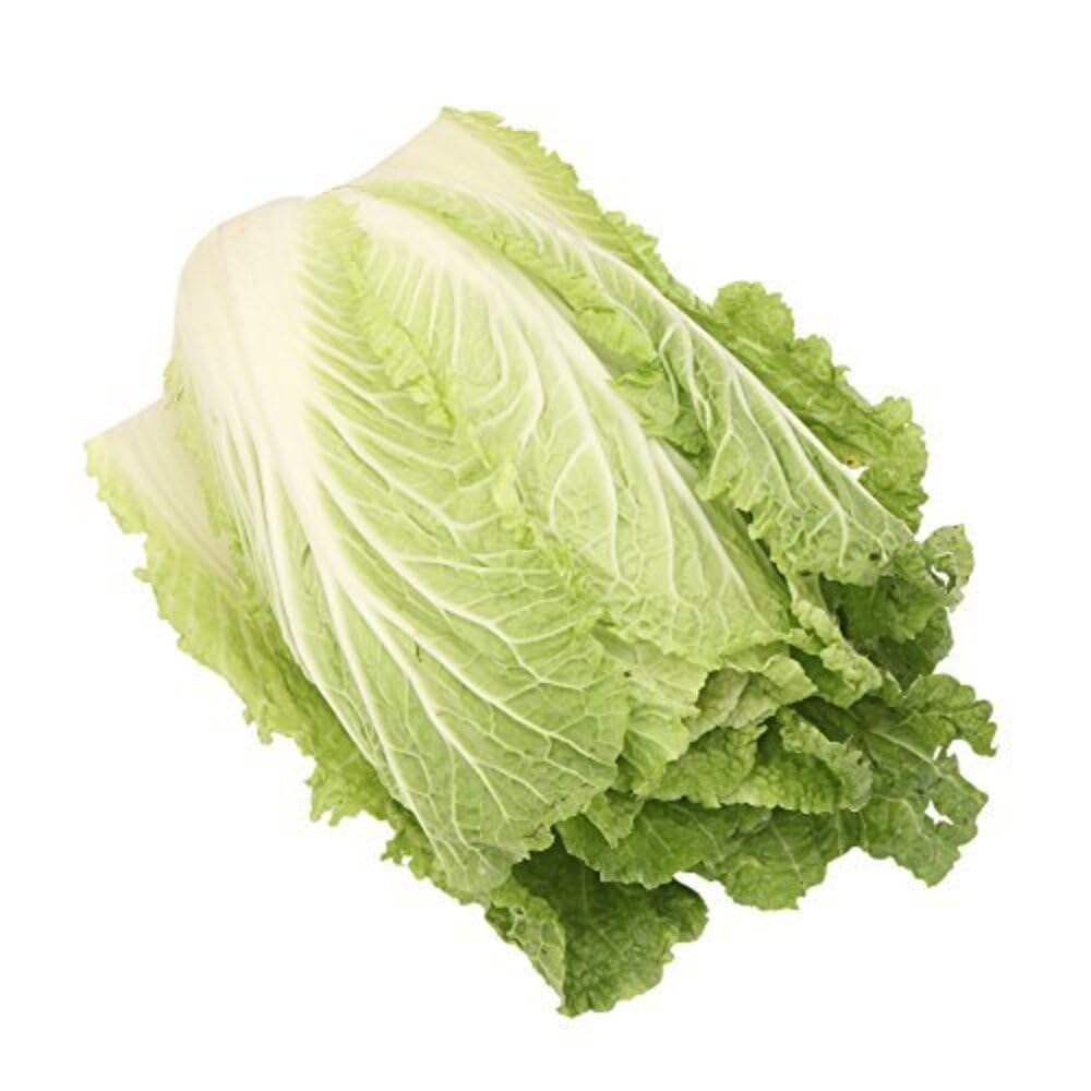 Fresh Chinese Cabbage, 1 Piece (Appx. 500 -800 gm)