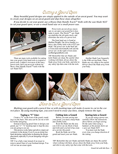 New Gourd Art with Ink Dyes (Design Originals) - Image 3