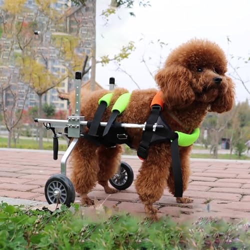 Fauteuil roulant pour chien réglable avec harnais de soutien pour pattes arrière