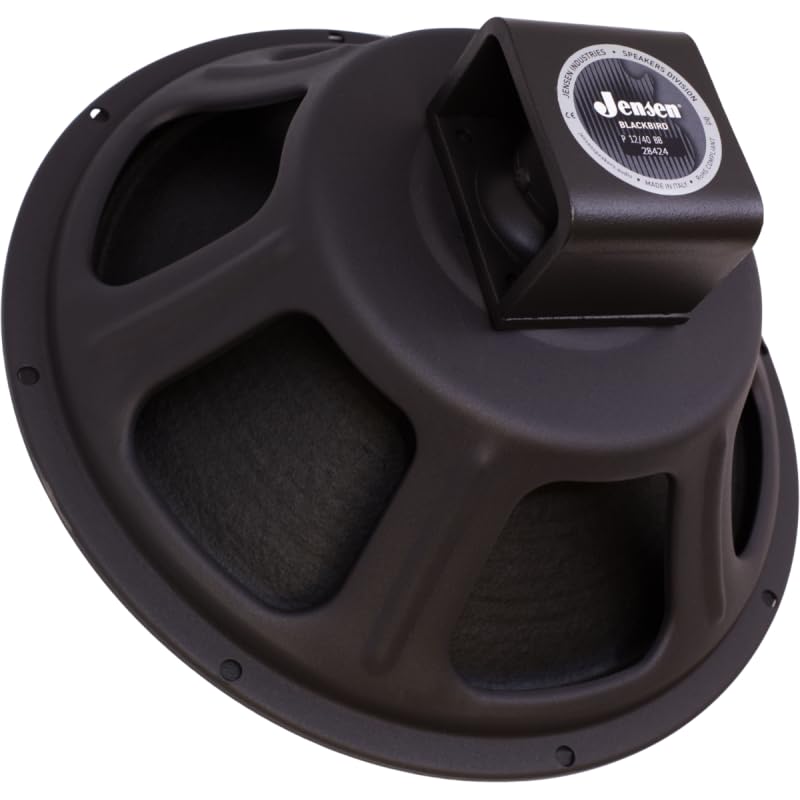 Amazon.com: Speaker - Jensen Jets, 12