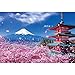 Puzzle Jigsaw Legno, Monte Fuji Cherry Blossom Series Sfidare 500-6000 Pezzi Family Entertainment Adulti Bambini Genitore Genitore Gamild Giochi (Color : Partition, Size : 3000 PCS)