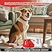 Aiorber Interaktives Hundespielzeug Quietschend, Unzerstörbar Plüsch quietschendes Hundekauspielzeug für Kleine, Mittelgroße und Große Hunde