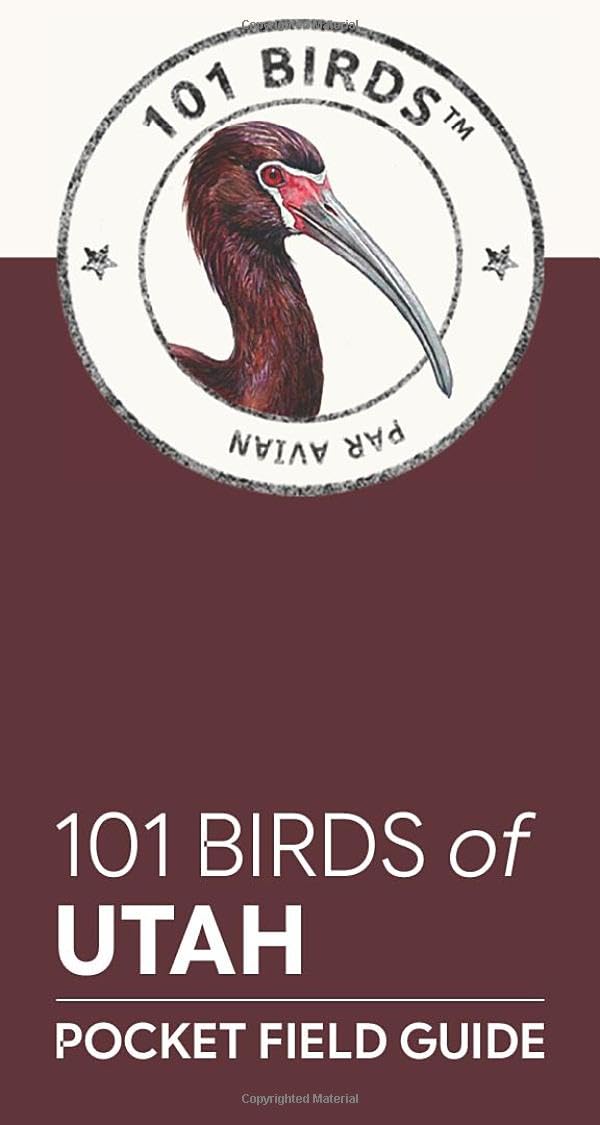 101 Birds of Utah: Pocket Field Guide (101 Birds Pocket Field Guides)