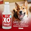 Jeffers X-O Pet Odor Neutralizer Plus & Cleaner Concentrate, 16 oz - Non Enzyme, Multi-Surface Deodorizer with Light Fresh Scent for Dogs, Cats, Horse & People, Urine Odor Remover, Makes 1 Gallon