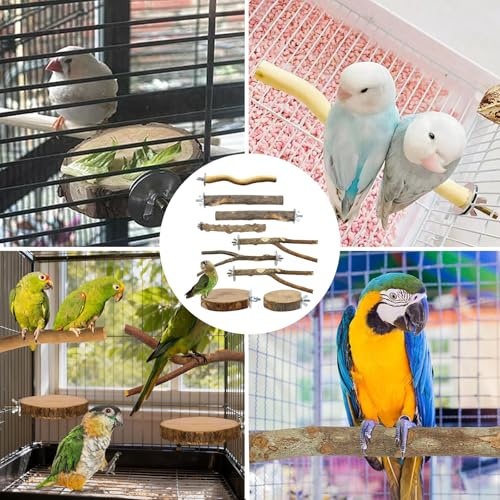 9 Stück Natur Sitzstangen Set, Vogelspielzeug Holz Wellensittich Zubehör Vogelkäfig Zubehör Vogel Spielzeug für Nymphensittich Spielzeug Kanarienvogel Papagei Stehend Vogelkäfig