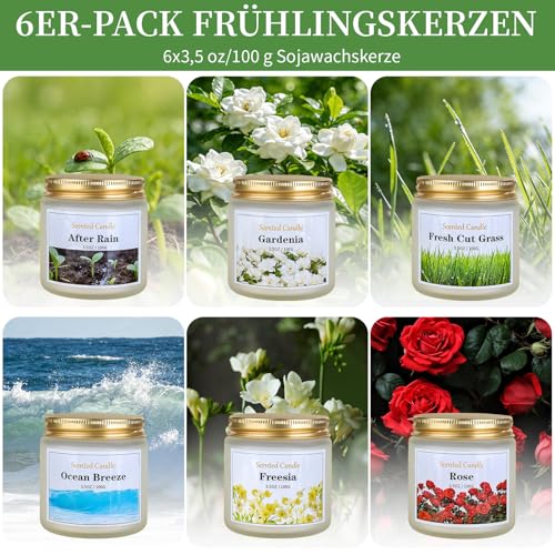 Duftkerzen, 6 x Duftkerzen Geschenke für Frauen, 21 oz Sojakerzen für zu Hause, Frühlingsgeschenkset für Frauen, Freesie/Rose/Nach dem Regen/Gardenie/Frisch geschnittenes Gras/Meeresbrise – Bild 2