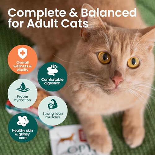 Image of Optimeal Wet Cat Food Grain Free - Chicken Tender Morsels, High Protein Premium Nutrition Made with Natural European Ingredients, Adult Cat Pouches 3oz (Pack of 12)