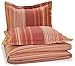 Pinzon Lightweight Cotton Flannel Duvet Set - Full/Queen, Orange Stripe