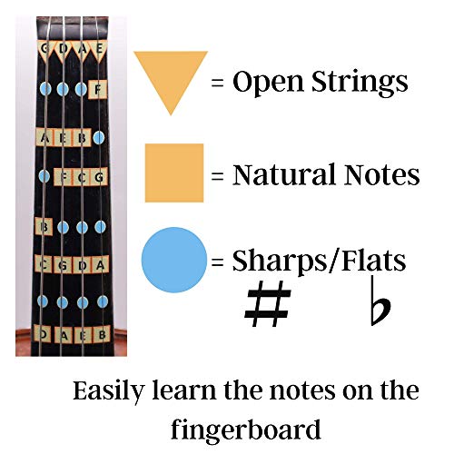 Image of Fantastic Finger Guide for Violins Adult Beginner | Stringed Musical Instruments | Fingerboard and Fretboard Stickers for Learning All Notes | Play or Fiddle (3 /4)