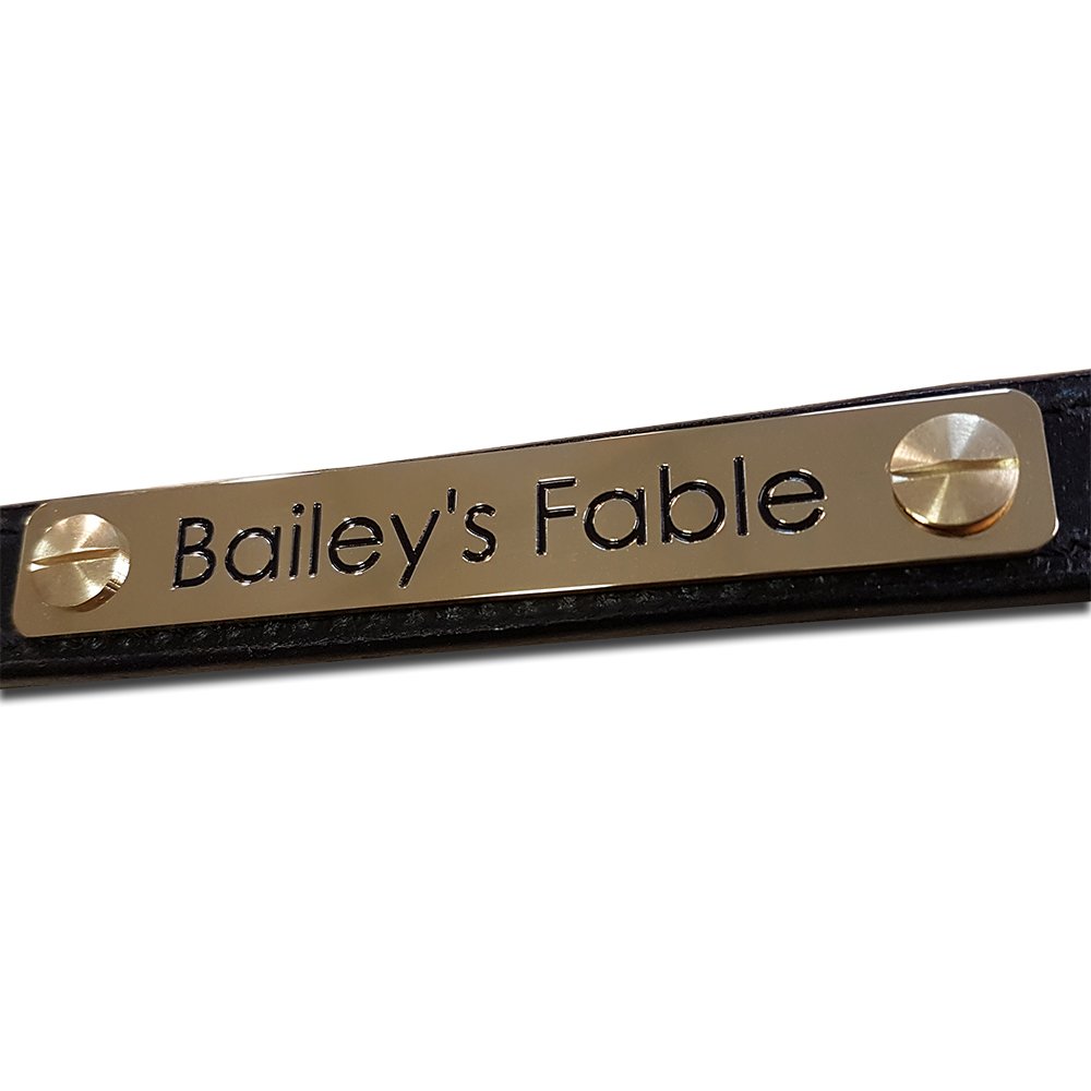 Engraved Solid Brass Horse Headcollar Nameplate 100mm x 15mm