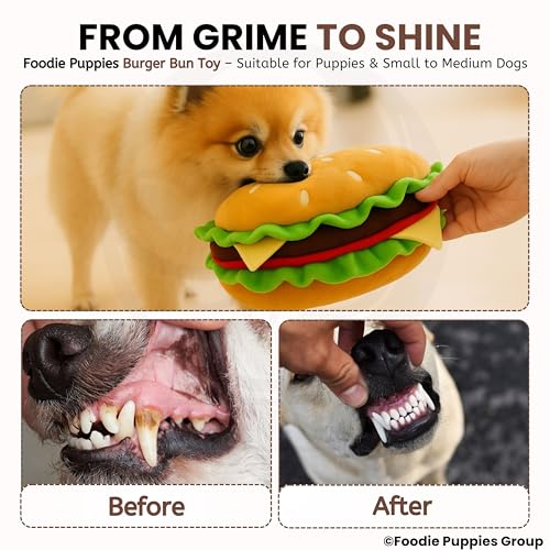 Image of Foodie Puppies Dog Squeaky Plush Toy - (BurgerBun) | Durable, Bite-Resistant & Soft Stuffed Chew Toy | Safe, Fun & Interactive for Playtime, Dental Exercise & Teething for Small to Medium Dogs (8cm)