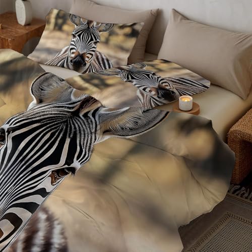 Edredón En Blanco Negro Cama Edredón