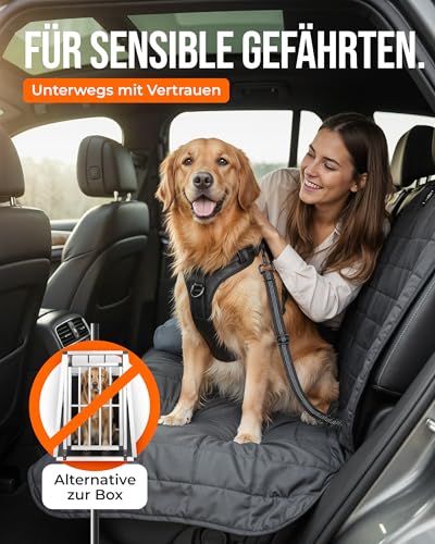 ZAUBERPFOTE Hundegurt 'Argo‘ fürs Auto – Verstellbarer Sicherheitsgurt mit Rückdämpfung & ISOFIX Anschluss – Anschnallgurt für alle Hunderassen (Schwarz, Gr. L)