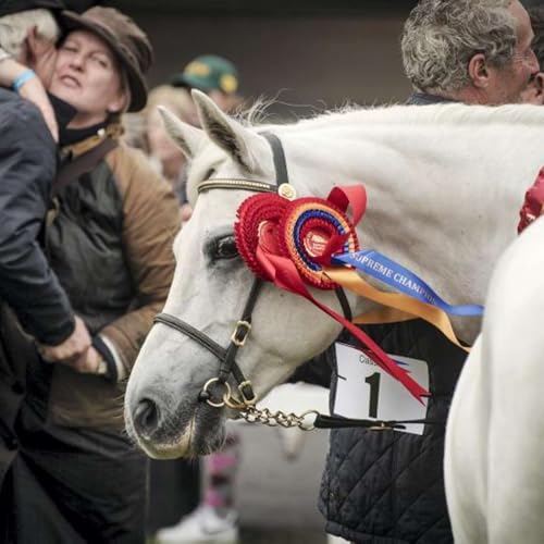 Breeding Legends: Inside Clover Hill&rsquo;s Connemara Success Story Podcast By  cover art