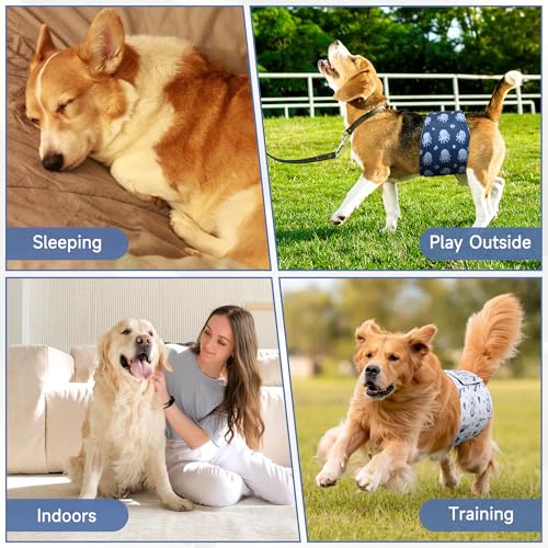 Image of 5 Pack Dog Diapers Male, High Absorbing Dog Wraps, Belly Bands for Male Dogs with Incontinence or Frequent Urination, Washable Doggie Diapers Fish XL