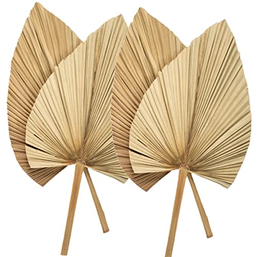 GUODUN Decoración Oficina Bohemio Boho Fiesta Tropical Hojas Lanzas de Palma Hoja de Abanico Planta Seca Cover