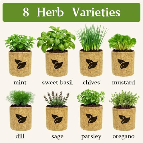 Indoor Herb Garden Start Kit - Unique Gifts for Women, Mothers Day Gifts, Easy House Plant- Birthday for Women,House Warming Gift New Home- Fresh Herb Garden DIY Crafts for Adults - Image 5