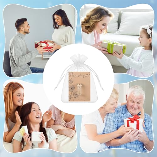 FARYODI Stadtgärtner Kleiner Wunschfüller 12 Stück, Echter Löwenzahnschirm in Glas, Ewig Haltbar Perfekte Geschenkidee, Geschenk für Geburtstage, Hochzeiten, Muttertag