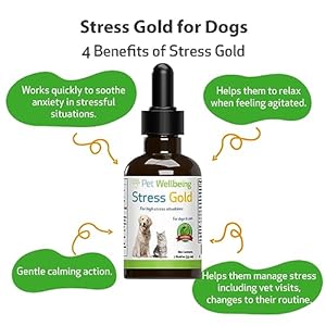 Pet-Wellbeing-Stress-Gold-for-Dogs-Vet-Formulated-Calming-and-Relaxing-Support-for-High-Stress-Situations-Natural-Herbal-Supplement-2-oz-59-ml - Cucciolini Doodles   Pet-Wellbeing-Stress-Gold-for-Dogs-Vet-Formulated-Calming-and-Relaxing-Support-for-High-Stress-Situations-Natural-Herbal-Supplement-2-oz-59-ml