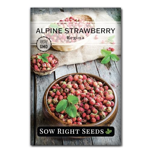 Sow Right Seeds - Regina Alpine Strawberry Seeds for Planting - Non-GMO Heirloom Packet with Instructions to Plant & Grow an Home Vegetable Garden - Bright Red Strawberry - Grows Early & Fast (1)