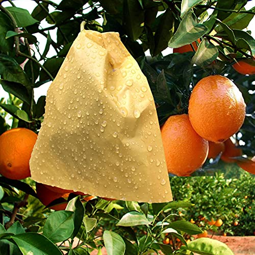 HouWanA Fruit Protection Paper Bags 100pcs, 6.2X7.7inch, Suitable for: Oranges, Peaches, Apples and Other Fruits and Vegetables, Orchards, Frosts, Plant Covers (16x19.8)