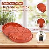 Zoom IMG-2 vsshe sottovasi per piante 5 Zoom IMG-2 vsshe sottovasi per piante 5