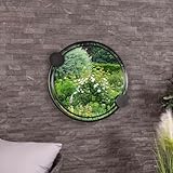 RÉSISTANT AUX INTEMÉTÉS : Fabriqué à partir de matériaux durables tels que le fer et l'aluminium, ce miroir est conçu pour résister aux intempéries, garantissant une beauté et une fonctionnalité durables dans n'importe quel environnement extérieur.