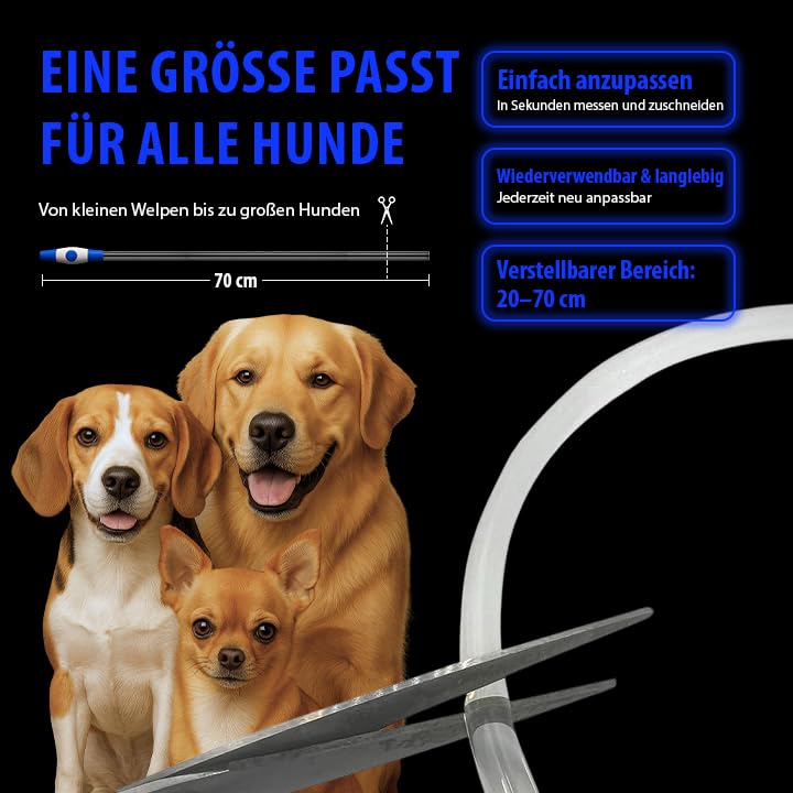 PetSol LED-Hundehalsband in Blau – wiederaufladbares USB-Sicherheitshalsband mit blinkendem Licht für Hunde, Katzen und Welpen – Größe S, M und L – modisches, im Dunkeln leuchtendes Design